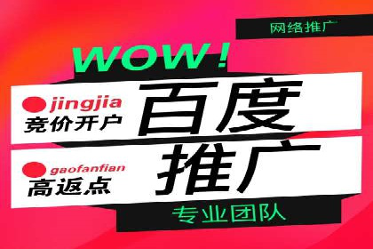 SEM广告投放的精准定位与优化案例